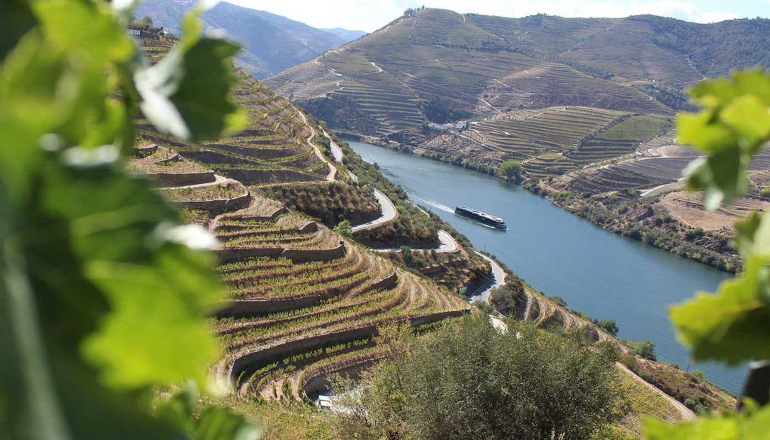 Portugal Wine Regions