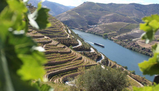 Portugal Wine Regions