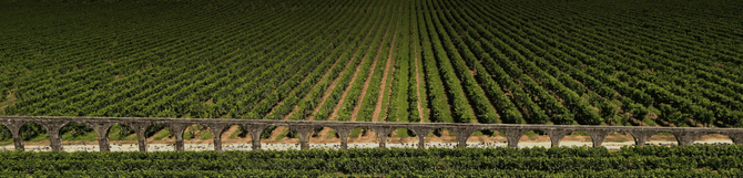 Portugal Best Wines