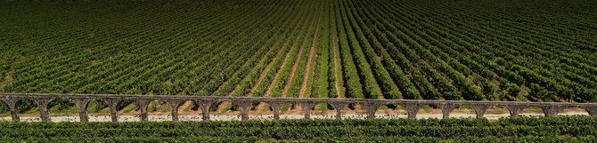Portugal Best Wines