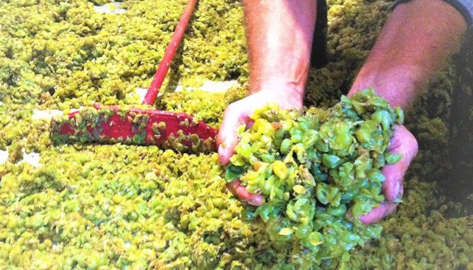 Portugal Best Wines