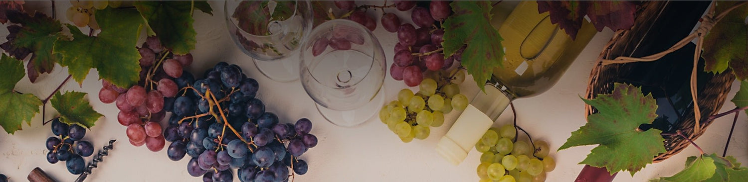 Organic - Portugal Best Wines