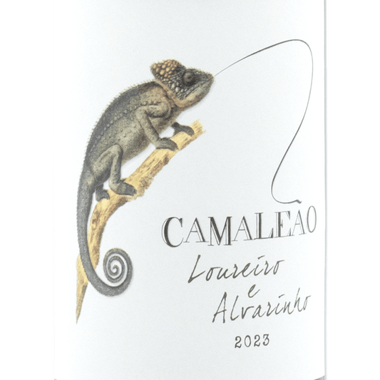 Portugal Best Wines