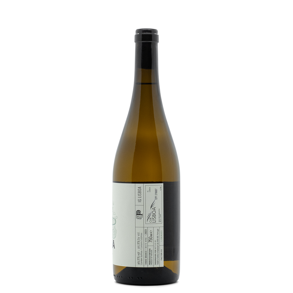 Hugo Mendes - Portugal Best Wines