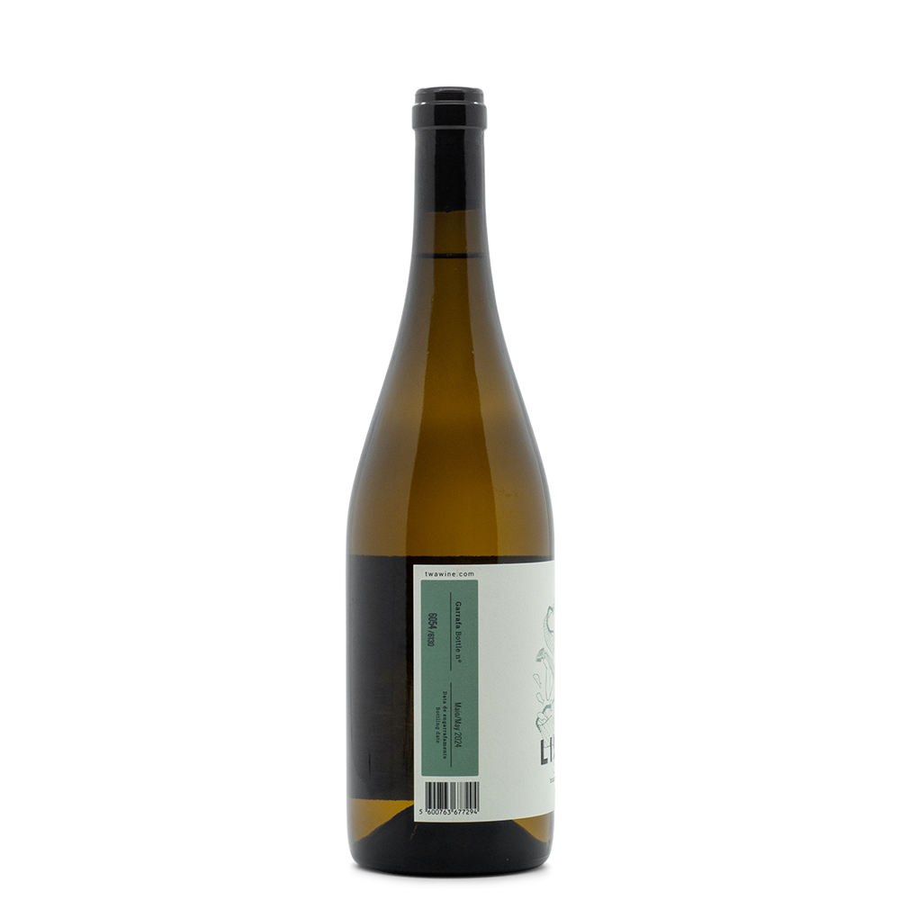 Hugo Mendes - Portugal Best Wines