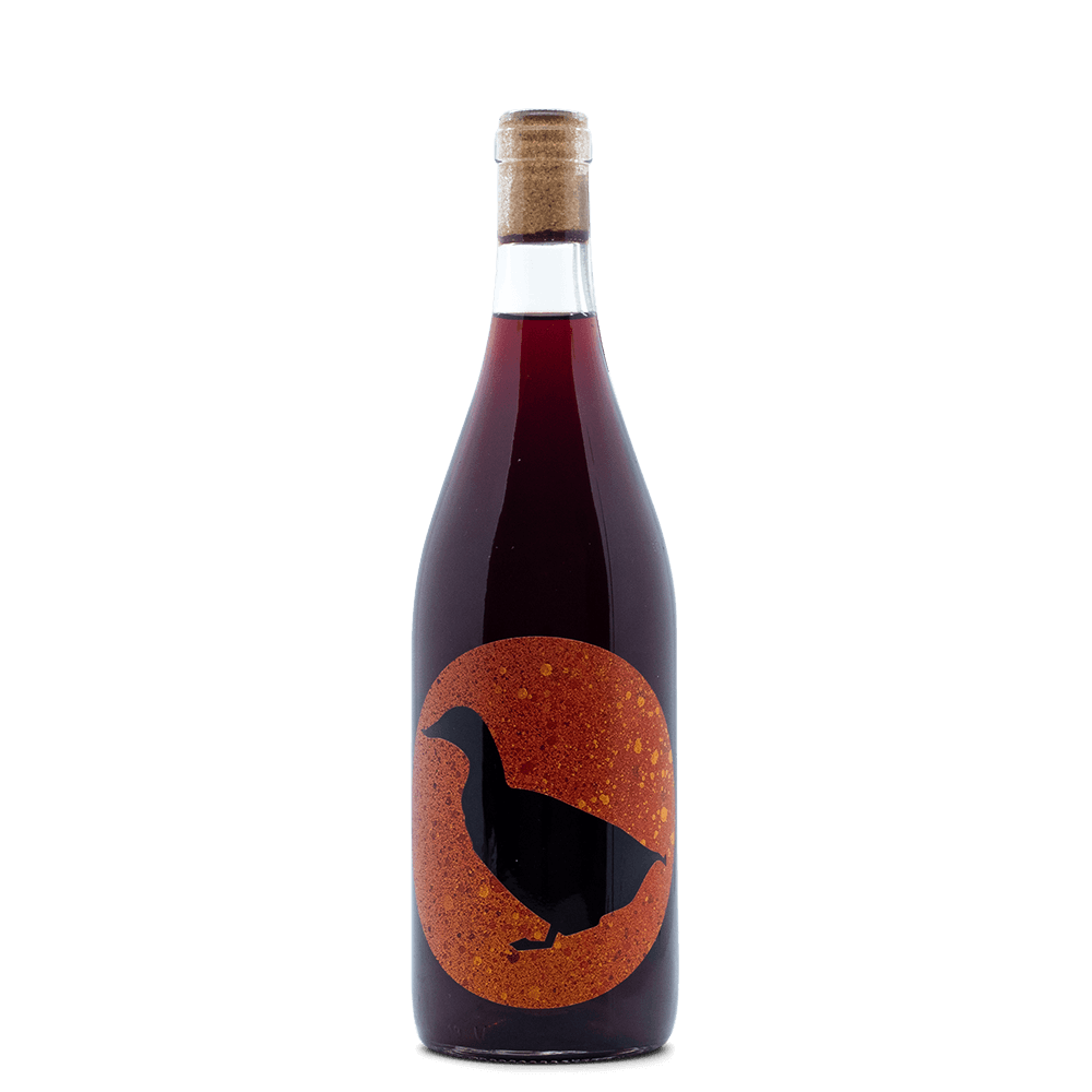 João Pato Nerd Duck - Portugal Best Wines