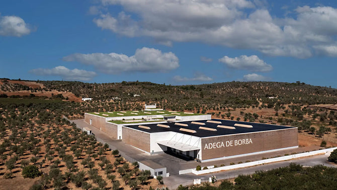 Portugal Best Wines