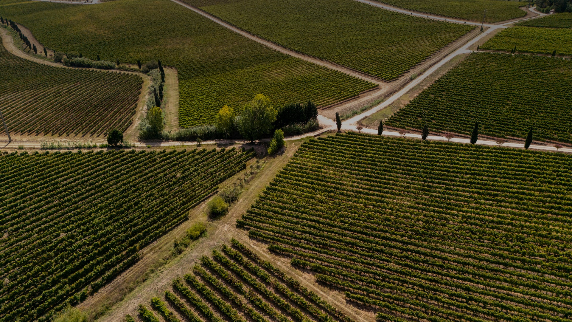 Portugal Best Wines