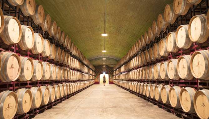 Portugal Best Wines