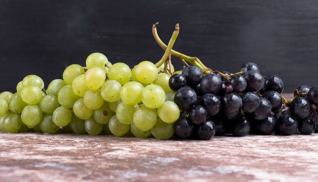 Portuguese Grape Varieties Explained - Portugal Best Wines