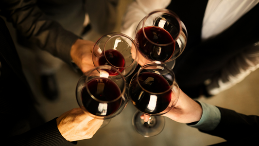 How to Drink Wine: A Fun and Practical Guide for Beginners and Connoisseurs