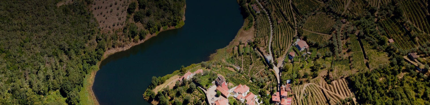 Távora-Varosa - Portugal Best Wines