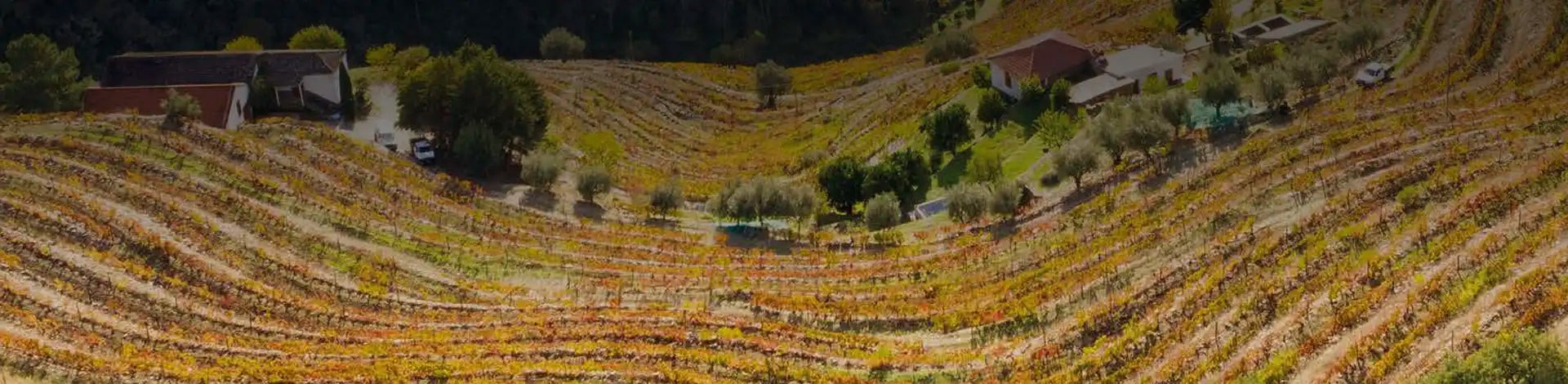 Manoella-Wine-&-Soul-Wine-Collection
