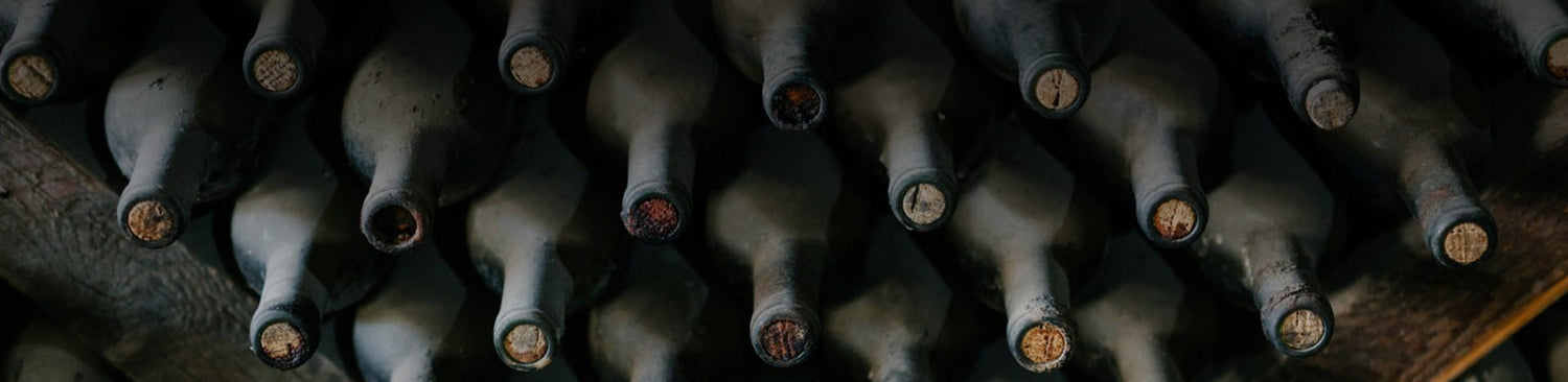 Portuguese Port Wine - Portugal Best Wines