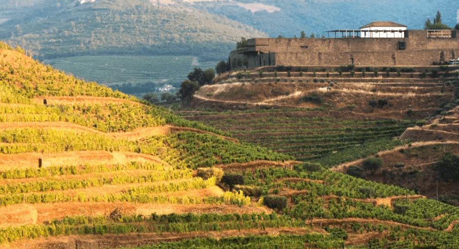 NIEPOORT VINHOS - Portugal Best Wines