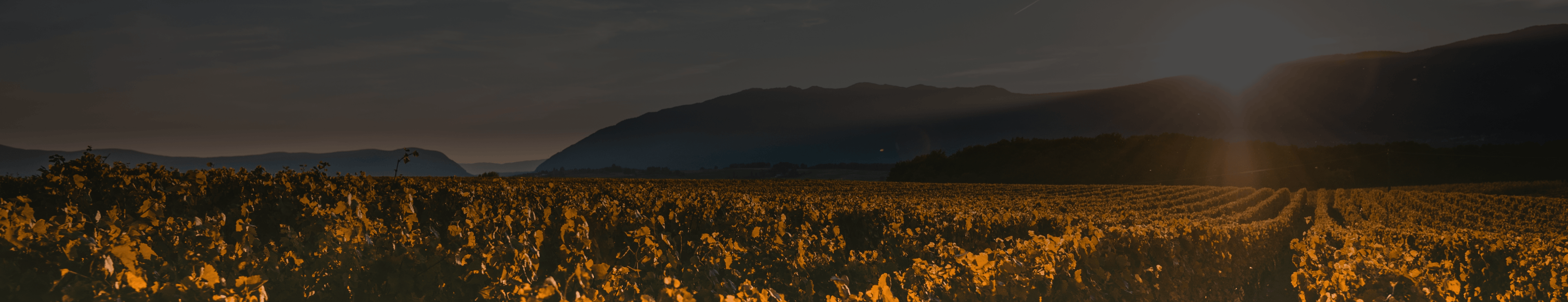 QUINTA DE SOALHEIRO - Portugal Best Wines