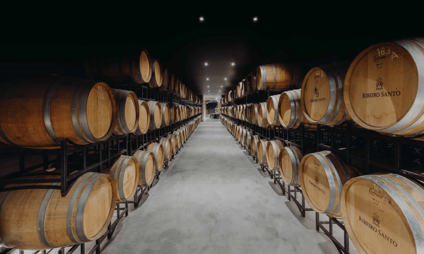 Magnum Wines - Portugal Best Wines