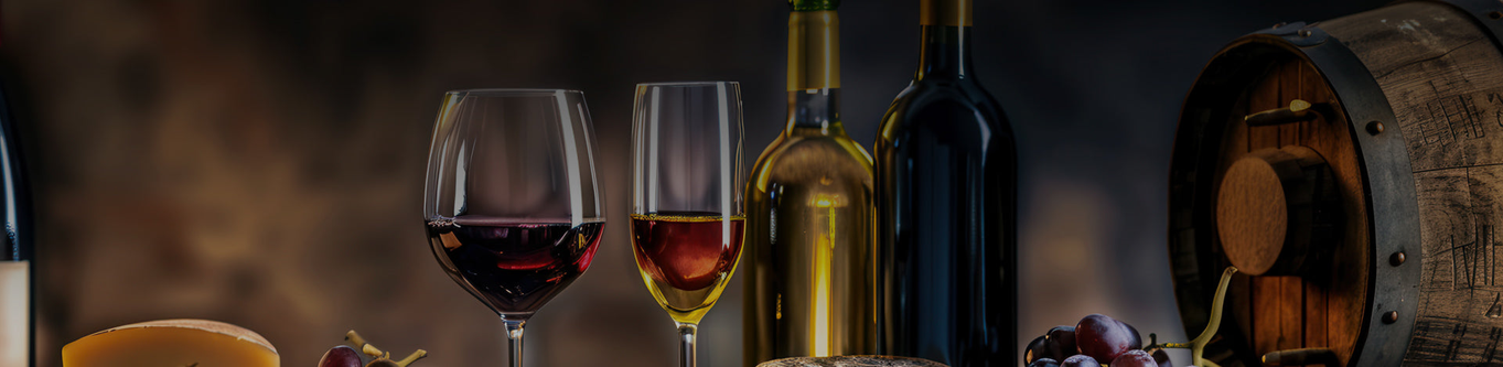 Francisco Nunes Garcia - Portugal Best Wines