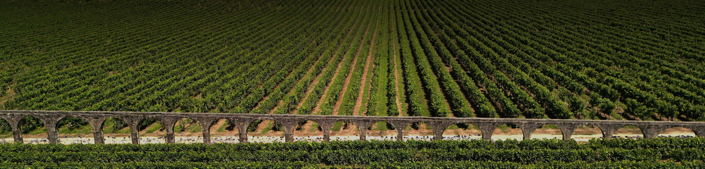 Quinta D'Amares - Portugal Best Wines