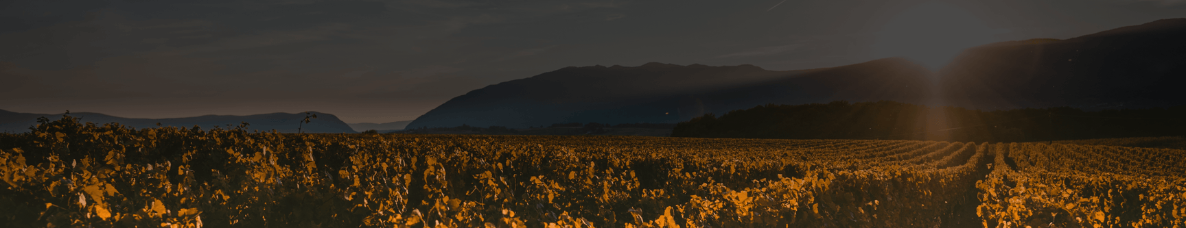 Quinta das Fontaltas - Portugal Best Wines