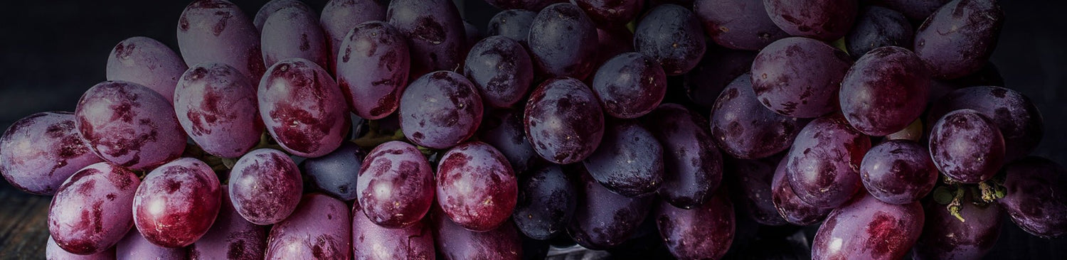 Tinta Roriz - Portugal Best Wines