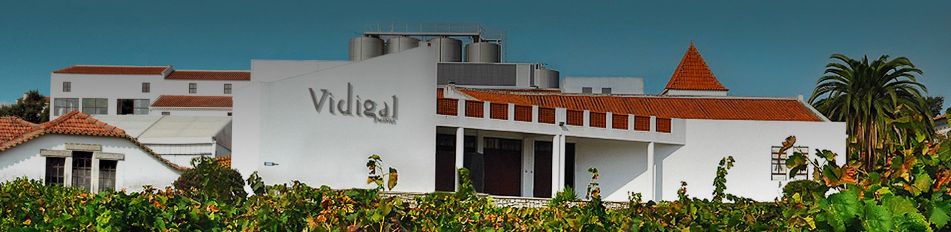 Vidigal Wines - Portugal Best Wines