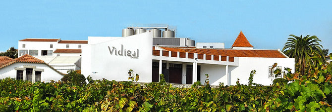 Portugal Best Wines