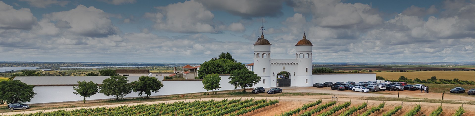 Abegoaria_Wines-Portugal-Best-Wines