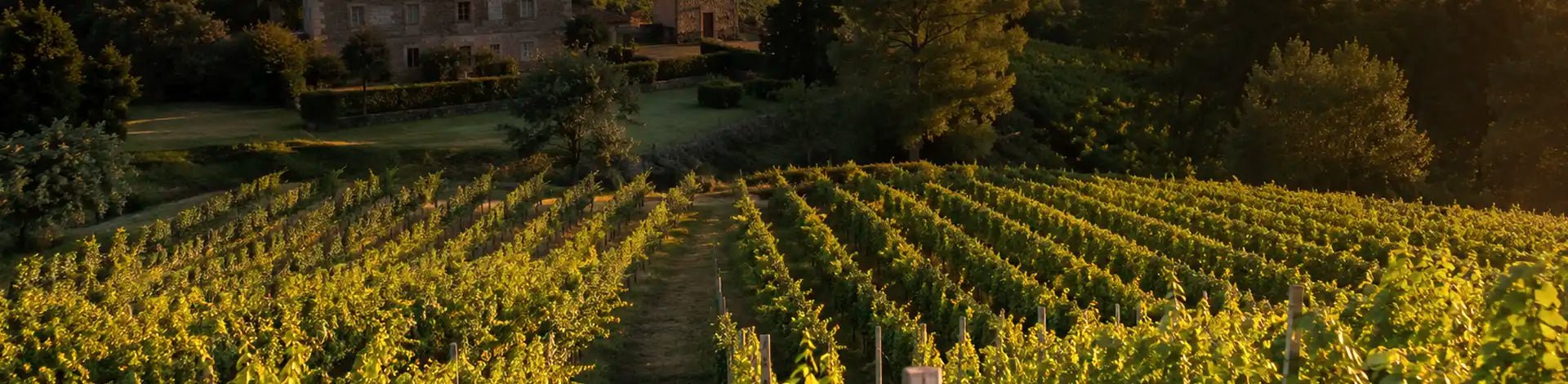 Aphros Wines Minho