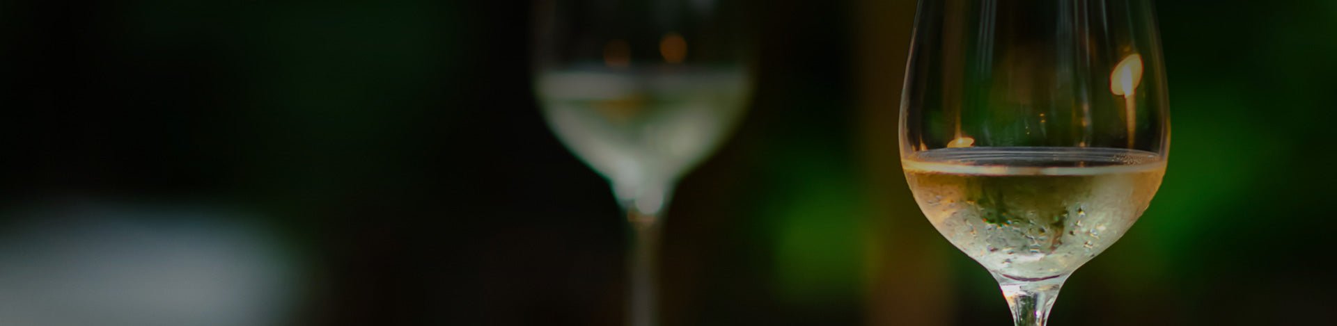 Arinto - Portugal Best Wines