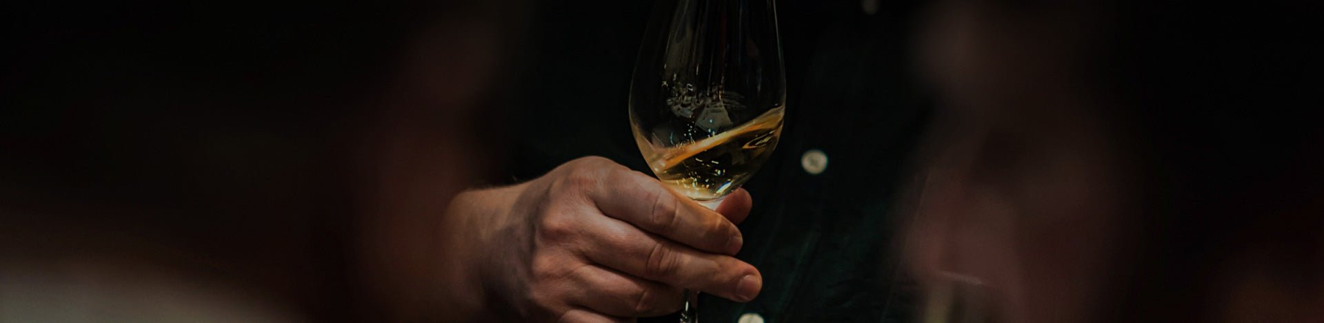 White: Aromatic - Portugal Best Wines