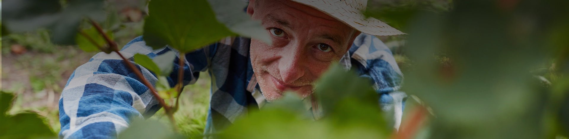 Bairrada - Portugal Best Wines