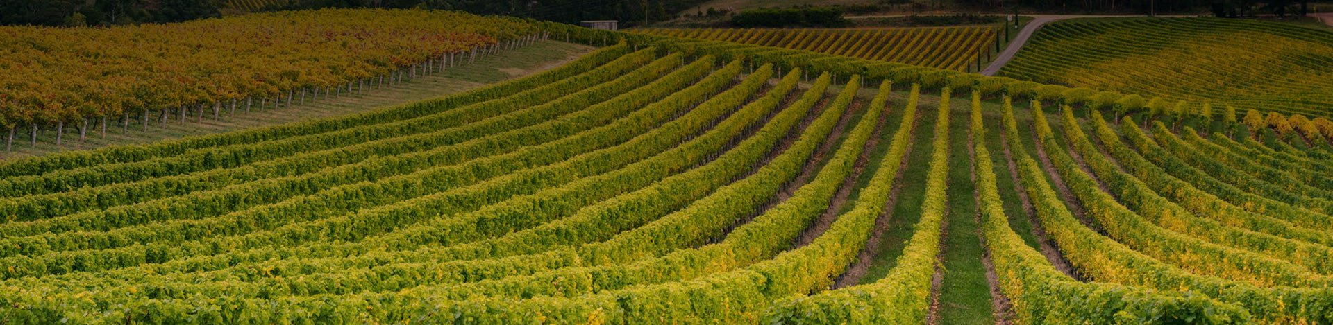 Beira - Portugal Best Wines