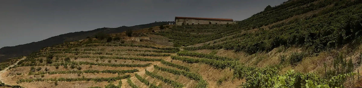 Bulas Family - Portugal Best Wines