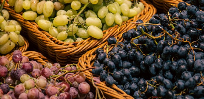 FUNDAÇÃO EUGÉNIO DE ALMEIDA - Portugal Best Wines