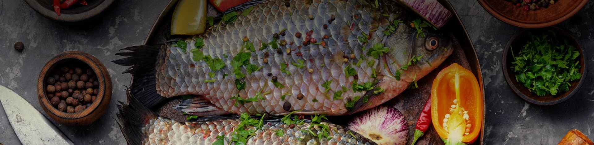 Fish - Portugal Best Wines