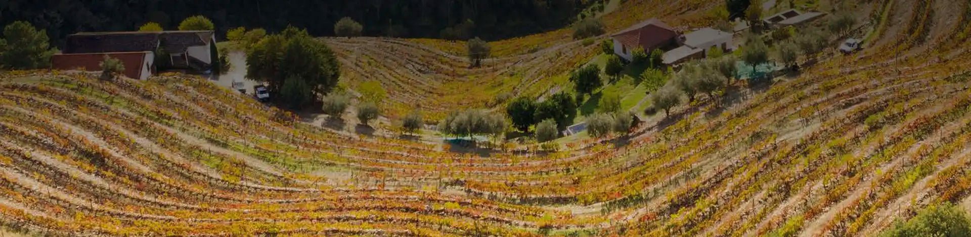 Manoella-Wine-&-Soul-Wine-Collection