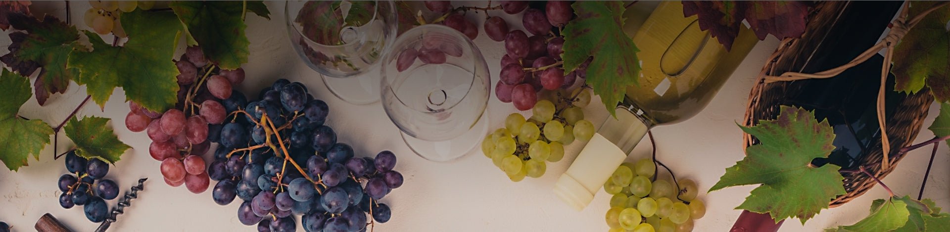 Organic - Portugal Best Wines