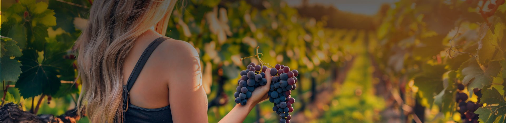 Portuguese Vegan Wines - Portugal Best Wines