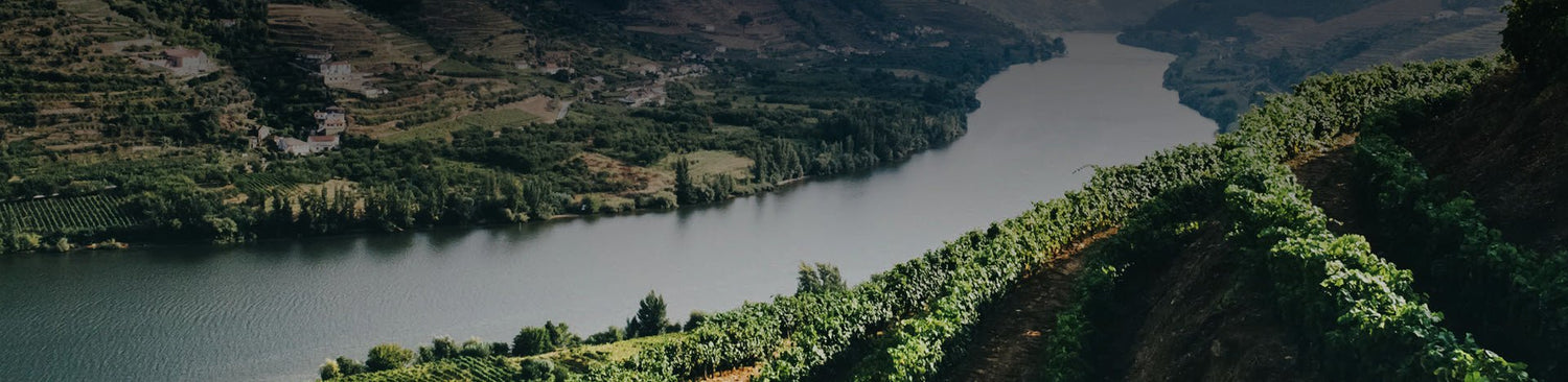 Porto and Douro - Portugal Best Wines