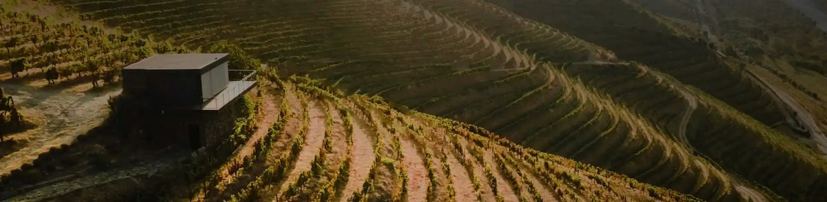 Quinta-da-vacaria-collection-Douro-vineyards