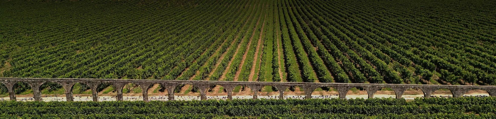 Quinta DAmares - Portugal Best Wines