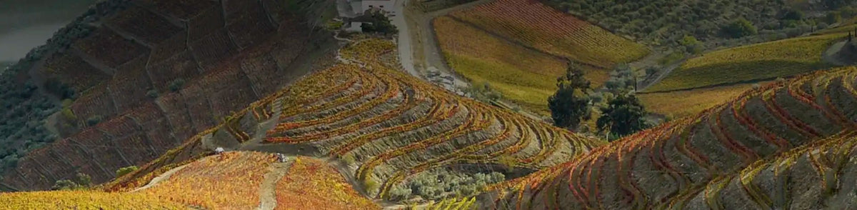 Quinta do Crasto - Portugal Best Wines