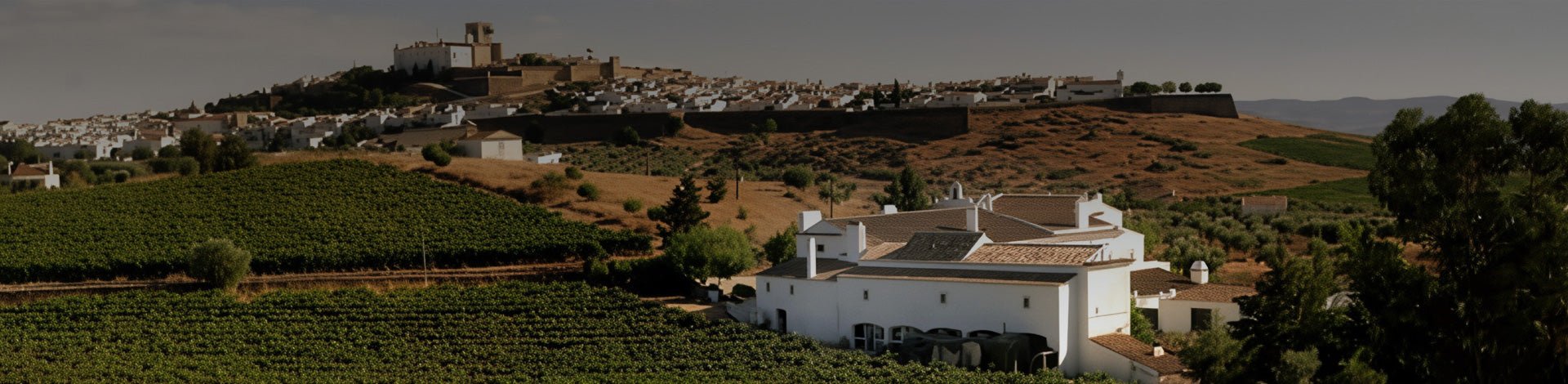 Quinta do Mouro - Portugal Best Wines