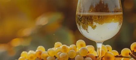 Glass of portuguese white wine with grapes in a blurred natural setting