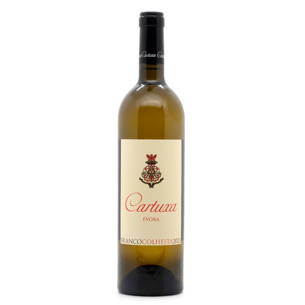 Portugal Best Wines