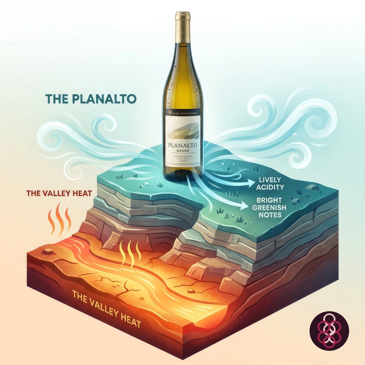 100298 - Planalto Reserva 2024 - White Wine - Portugal Best Wines