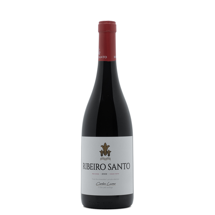 Ribeiro Santo