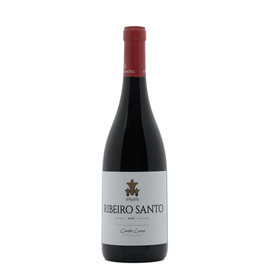 Ribeiro Santo