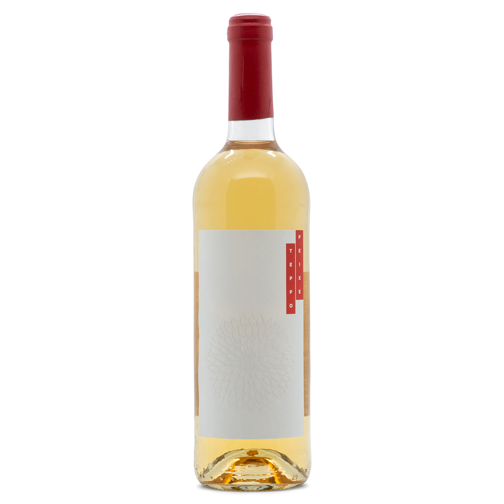 Portugal Best Wines